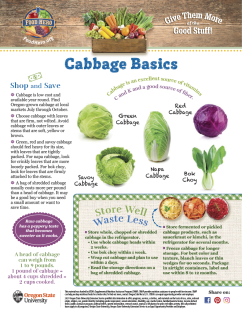 Cabbage Basics Page 1