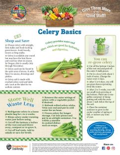 Celery Basics Page 1