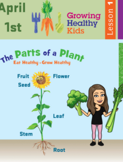 growing healthy kids lesson 1 cover image
