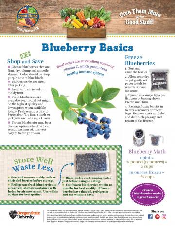 Blueberry Food Hero Monthly