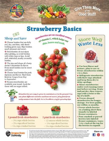 Strawberry Monthly Magazine