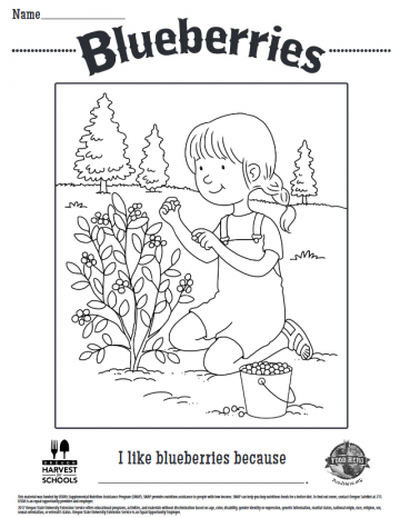 Blueberries Coloring Sheet
