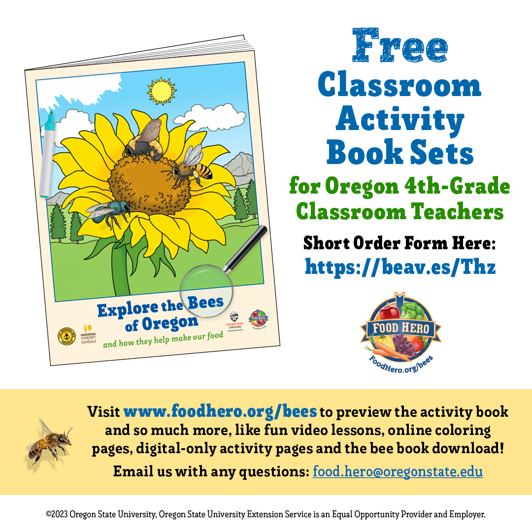 Bee Book 4th Grade Teachers