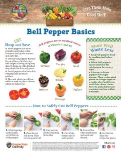 Bell Pepper Basics