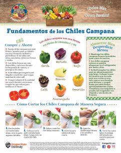 Fundamentos de los Chiles Campana Pagina 1