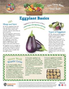 Photo of eggplant monthly magazine