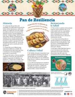 Pan de Resilienca Pagina 1
