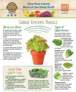 Food Hero Monthly Cover Salad Greens