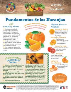 Fundamentos de las Naranjas Pagina 1