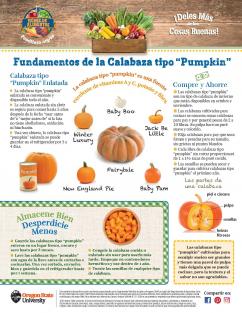 Calabaza tipo “Pumpkin” Pagina 1