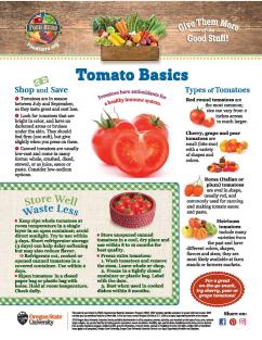 image of Tomato Basics FHM