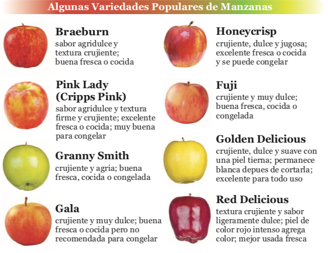 El cuarto Plano Transparentemente Tipos de Manzanas | Food Hero
