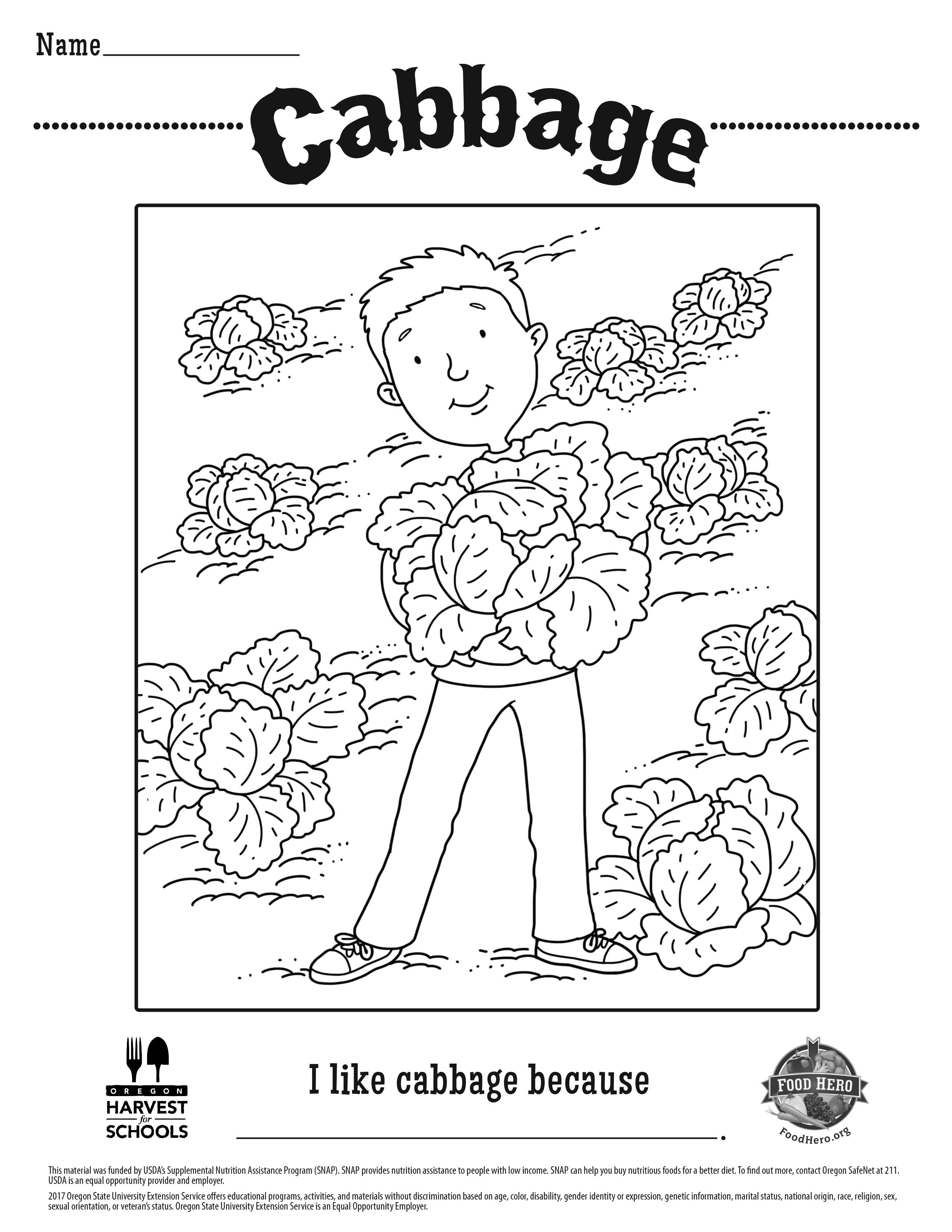 Cabbage Coloring Sheet 