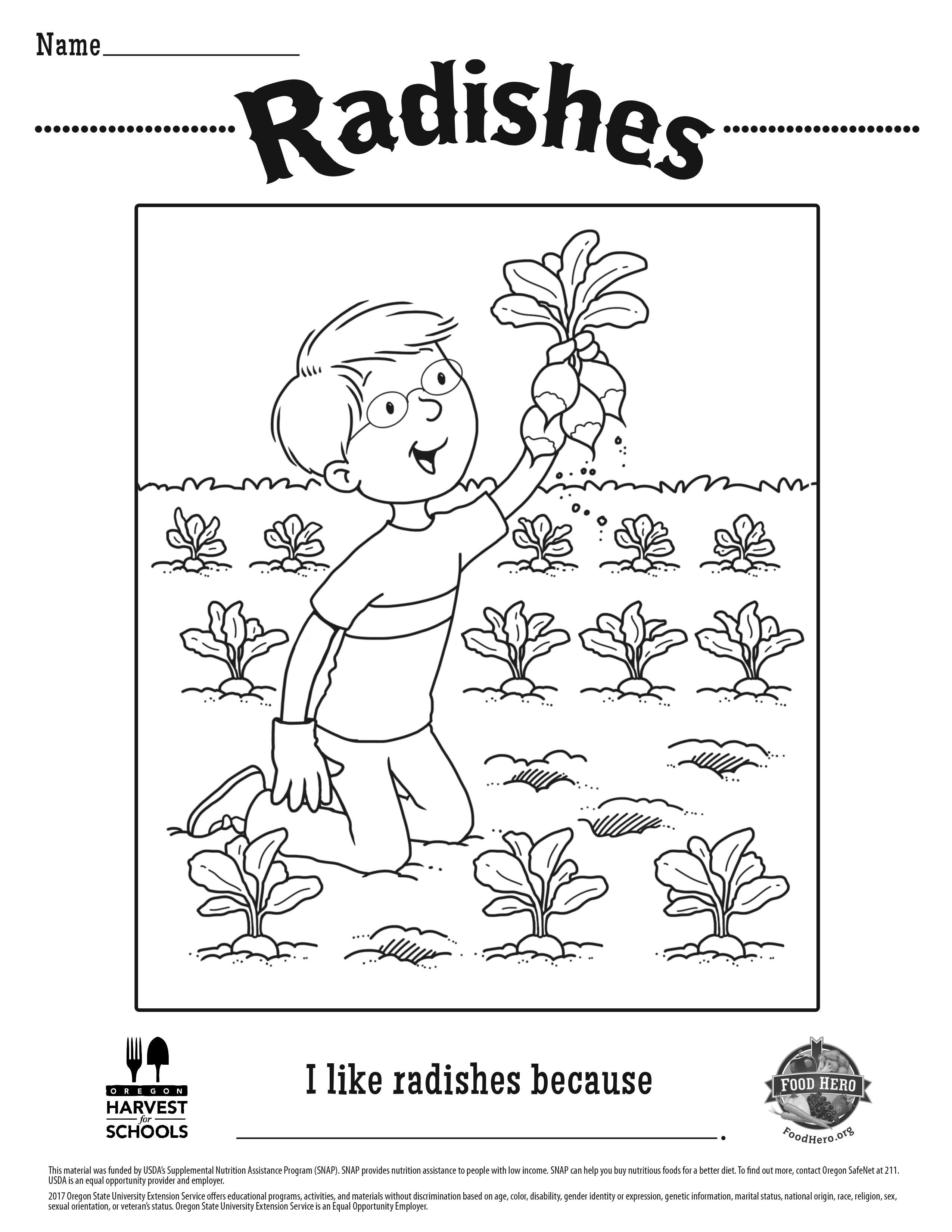 Radishes Coloring Sheet 