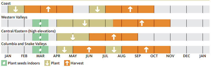 3 regions of Oregon showing months to plant and harvest Cauliflower.