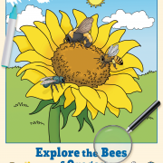 Explore the Bees of Oregon