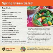 Spring Green Salad Recipe Card