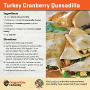 Turkey Cranberry Quesadilla Recipe Card