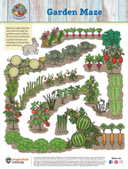 garden maze activity