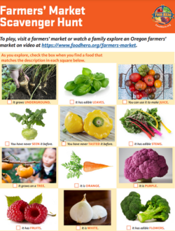 farmer's market scavenger hunt activity sheet