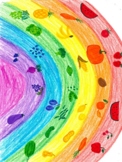 drawing of a fruit rainbow