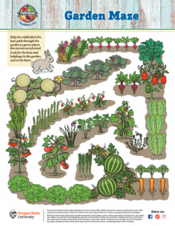 Garden Maze Activity Sheet | Food Hero