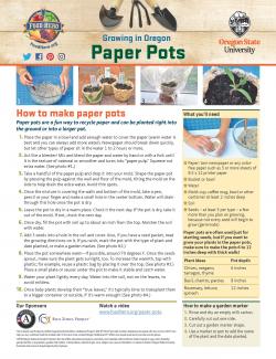 Paper Pot - Garden Activity