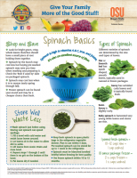 Spinach Basics 