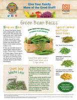 green bean basics 