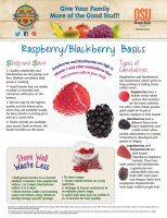 raspberry and blackberry basics 