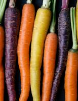 Rainbow Carrots 