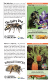 Example Bee Recipe Trading Cards