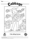 Cabbage Coloring Sheet