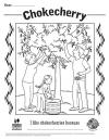 Chokecherry Coloring Sheet