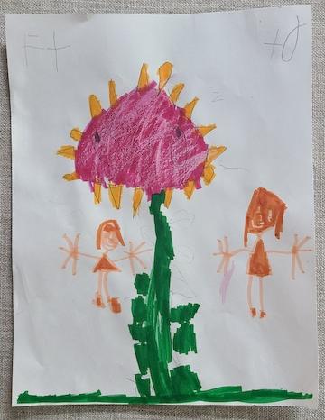 Sunflower Drawing School Gardens