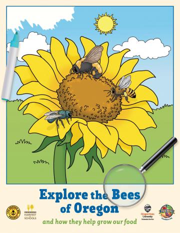 Explore the Bees of Oregon - Discovery Book
