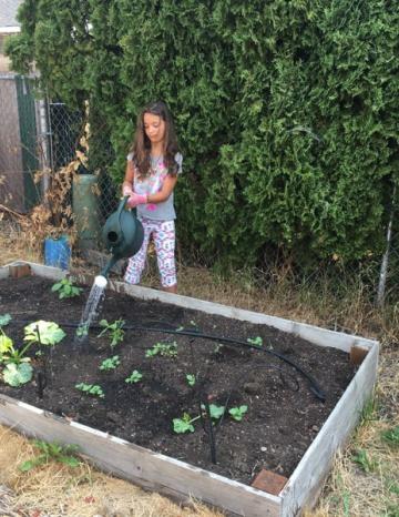GHK Raised Bed Garden