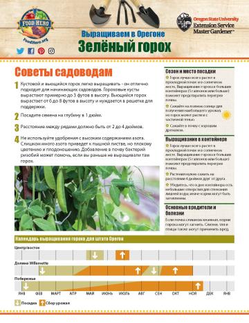 Garden Monthly Snap Peas Russian