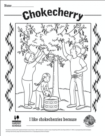 Chokecherry Coloring Sheet