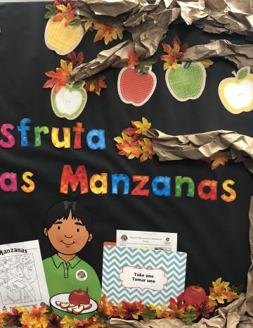 Fall in Love with Apples - Spanish