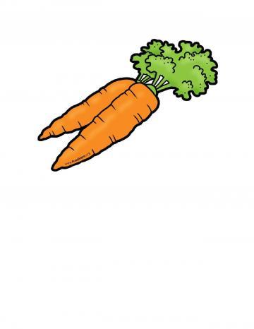 Carrots Illustration