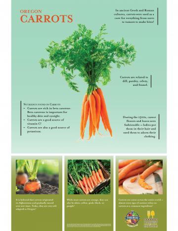 Carrots | Food Hero