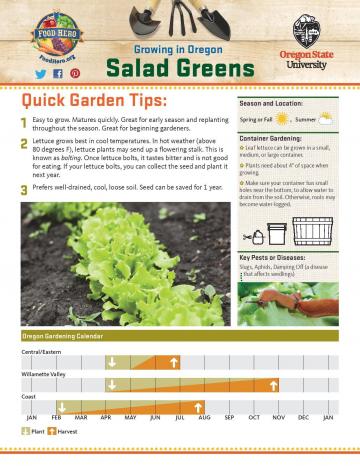 Salad Greens Garden Monthly - English