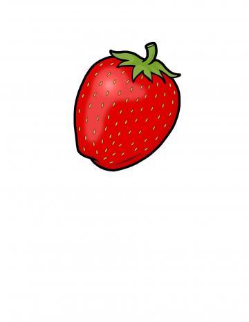 Strawberry Illustration