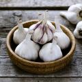 Garlic herb.