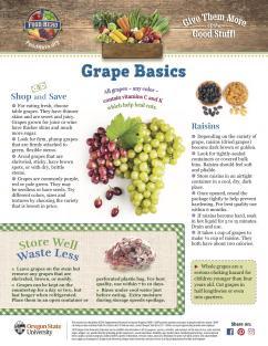 Grape Basics